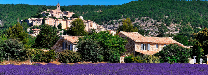Click to learn more about the Discovering Provence with the French Riviera trip