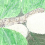 silkworm image