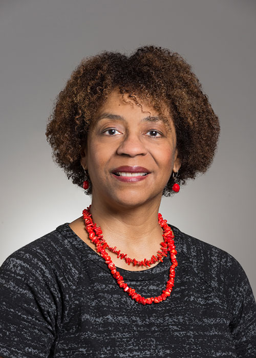 Paula Saylor-Robinson joined the VMFA in 2015 as Director of Audience Development and Community Engagement and worked at Ipsos market research firm as Director of Qualitative Research and Client Services before VMFA. Recent recipient of The 2019 Governor's Honor Awards for Diversity, Inclusion and Outreach