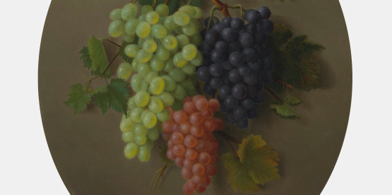 Grapes, ca. 1865, Hannah Brown Skeele (American, 1829–1901), oil on board. Virginia Museum of Fine Arts, John Barton Payne Fund, Gift of Coe Kerr Gallery, by exchange, and Adolph D. and Wilkins C. Williams Fund, by exchange