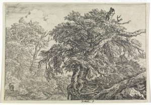 Jacob van Ruisdael (Dutch, 1628/1629-1682), The Great Beech, with Two Men and a Dog, ca. 1651-55, Etching, Promised Gift of Frank Raysor, L.139.2010.12