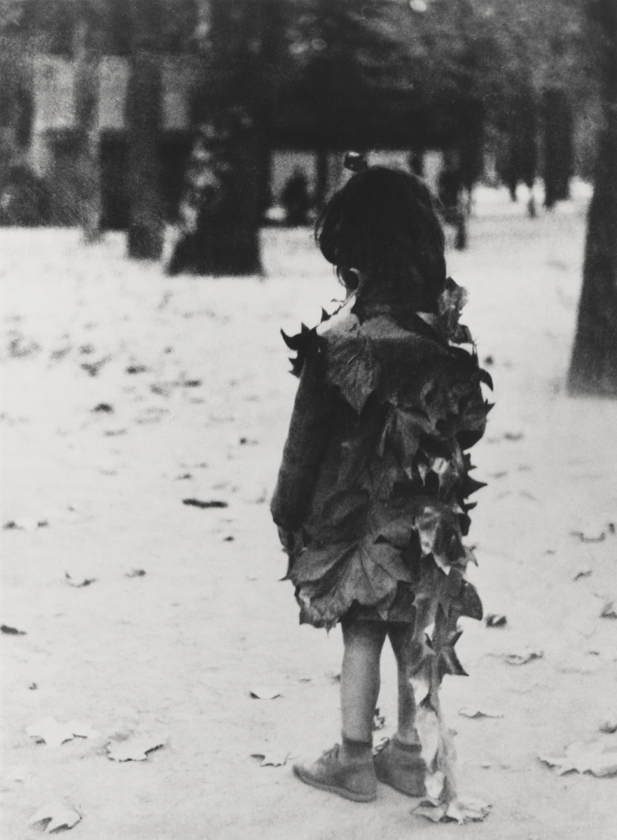 Little Girl with Dead Leaves