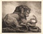 Lion and Snake