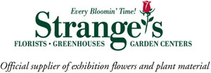 Stranges Color Logo