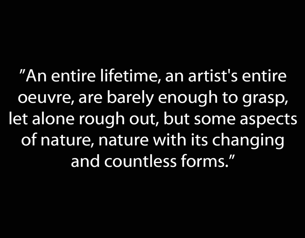 Rodin Quote An Entire LIfetime