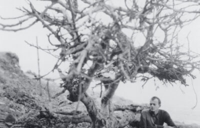 Robert Rauschenberg Untitled [Cy, North Africa (I)], 1952. ©Robert Rauschenberg Foundation