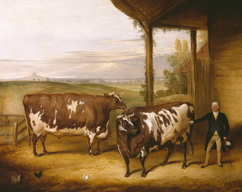 Art Audio Clips: Two Durham Oxen
