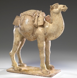 Lesson Plan: Traveling the Silk Road: Animals and Ecosystems