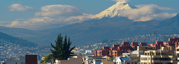 Click to learn more about the 2023 Ecuador and the Galapagos Islands trip