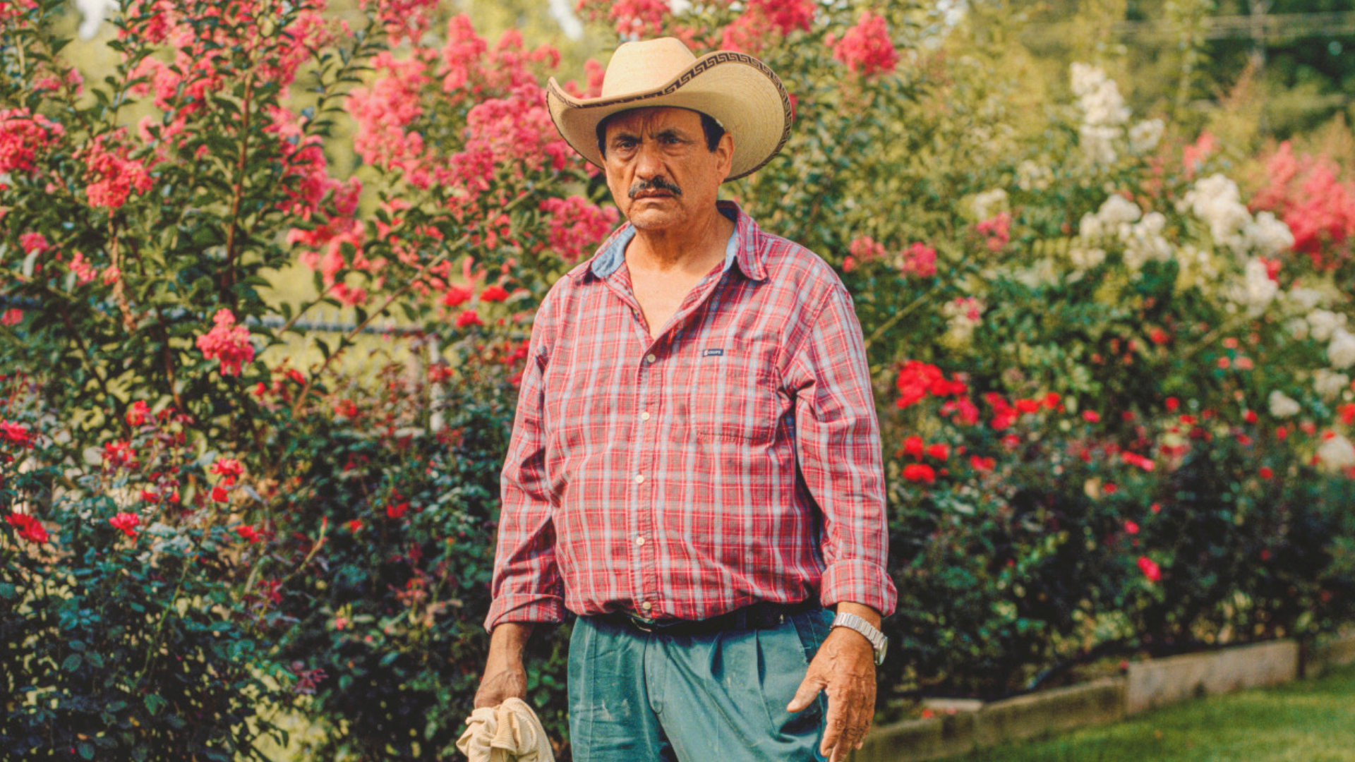 Rose Grower (detail), 2021, José Ibarra Rizo (Mexican, b. 1992), inkjet print, 40 x 32 in. Virginia Museum of Fine Arts, Aldine S. Hartman Endowment Fund, 2023.1343. ©️ Jose Ibarra Rizo