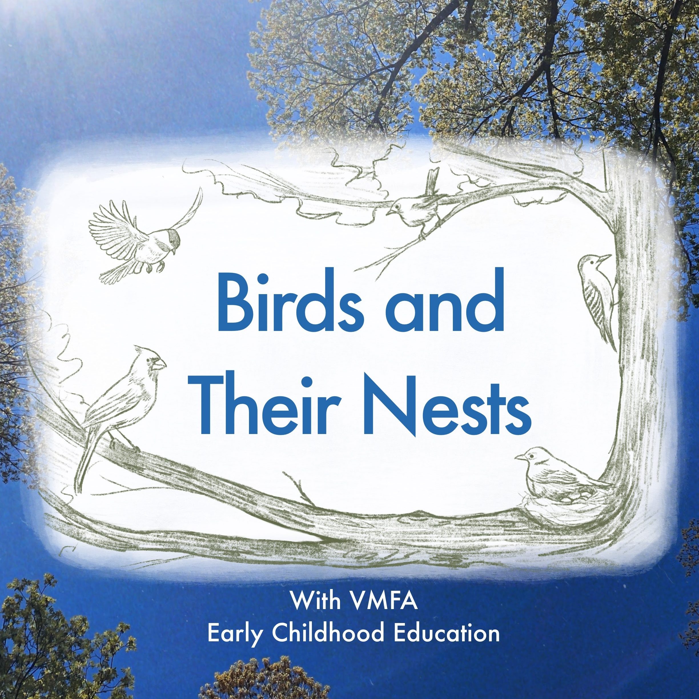 Creative Connection: Birds and Their Nests
