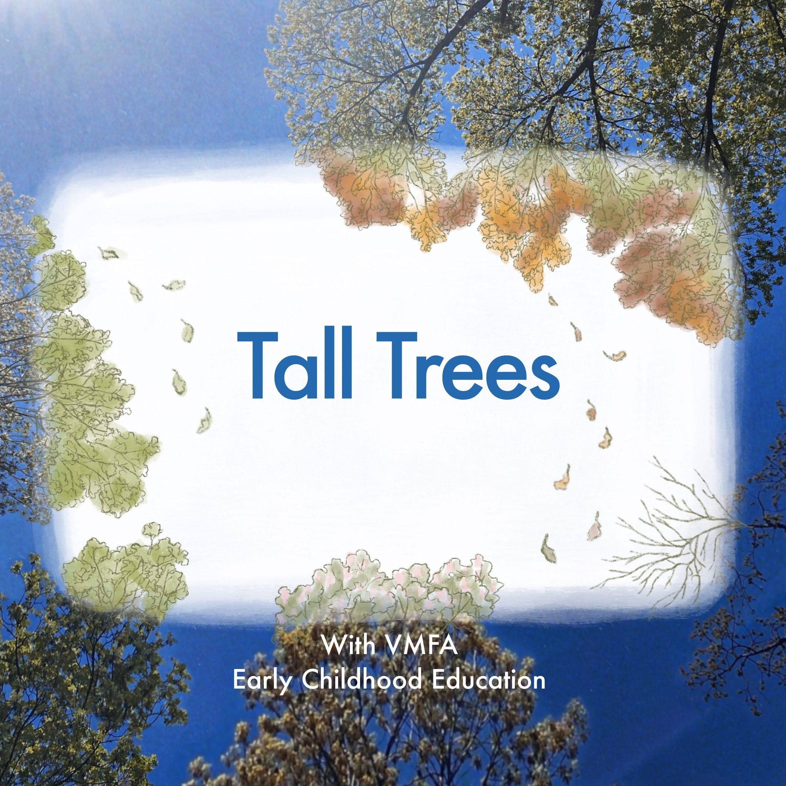 Creative Connection: Tall Trees