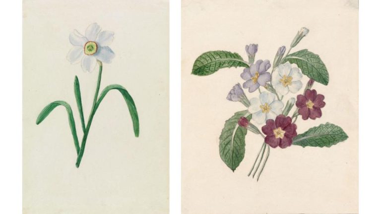 Delacroix flowers – Collections